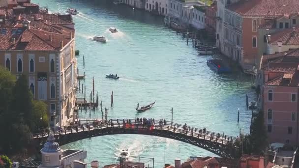 Aerial View Venice Saint Marks Square Rialto Bridge Narrow Canals — Stock Video
