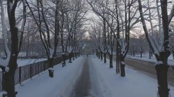 Allway Invernale Tramonto Riga Alberi Invernali Con Una Strada Vuota — Video Stock