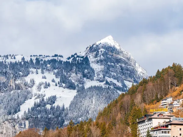 位于瑞士恩格尔堡的一个宁静的冬季场景 其特色是一座雪山 常绿的森林 以及奢华的瓦尔德盖酒店和高山建筑 — 图库照片
