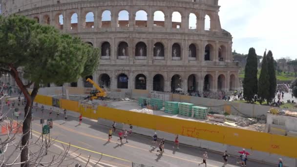 Running Runner Men Women Colosseum Roma Italia Entrenamiento Atletas Para — Vídeo de stock