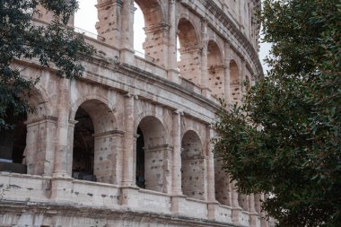 Close up view of the Colosseum, Flavian Amphitheatre, Rome, Italy. Weathered exterior, arches, tiered seating, ancient stone construction. Green tree, cloudy sky, historical grandeur. clipart