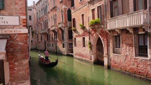 Venedik Geleneksel Gondollar Venedik Teki Ünlü Canal Grande Basilica Santa — Stok video