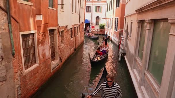 Traditional Gondolas Venice Sailing Narrow Canals Famous Canal Grande Basilica — Vídeos de Stock