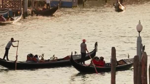 Венецианский Гондольер Пробивает Гондолу Через Воды Зеленого Канала Венеции Прекрасный — стоковое видео