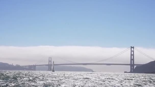 在加利福尼亚金门大桥 阿尔卡特拉兹监狱岛和旧金山市中心附近的一艘小游艇上 沿着旧金山湾航行 在海上的一天 航运概念 — 图库视频影像