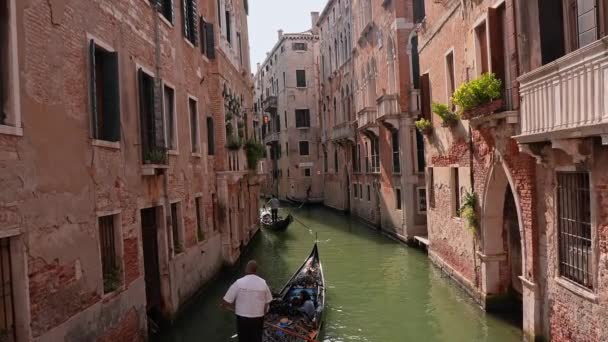 Gondole Tradiționale Venețiene Andocate Stâlpi Lemn Canalul Mare Lângă Bazilica — Videoclip de stoc