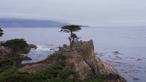 Lone Cypress Popularny Punkt Widokowy Pobliżu Pebble Beach Mile Drive — Wideo stockowe