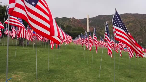 Ένα Πεδίο Εκατοντάδων Αμερικανικών Σημαιών Ημέρα Μνήμης Βετεράνων Ημέρα Μνήμης — Αρχείο Βίντεο