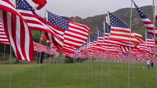 Een Veld Van Honderden Amerikaanse Vlaggen Herdenkingsdag Voor Veteranen Herdenkingsdag — Stockvideo
