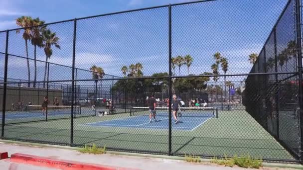 人们在洛杉矶威尼斯海滩打桨网球 威尼斯海滩的网球场 — 图库视频影像