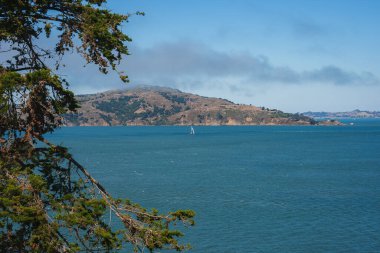 Yelkenli sakin su kütlesi, kozalaklı ağaç dalları, tepe tepe manzarası, potansiyel San Francisco Körfezi manzaralı açık gökyüzü. Alcatraz Adası 'ndan alındı..