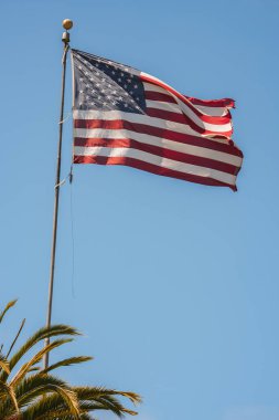 Büyük ihtimalle San Francisco 'da, bayrak direğinin tepesinde altın bir finale ve ön planda palmiye ağacına sahip mavi gökyüzüne karşı iyi korunmuş bir Birleşik Devletler bayrağı dalgaları..