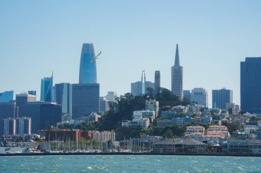 San Fransisco 'nun gündüz manzarası suyun ötesinden ufuk çizgisine bakıyor. Modern yüksek binalar, geleneksel binalar, ikonik Transamerica Piramidi, durgun su, berrak gökyüzü.