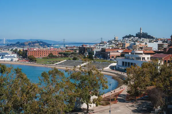 San Franciscos Rıhtımının Manzarası Bir Park Binalar Coit Kulesi Bay Stok Resim