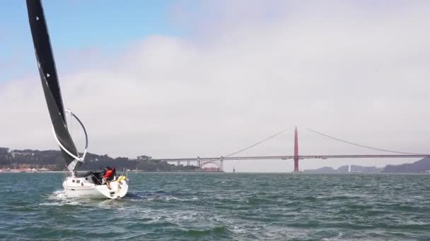 Żeglując Zatoką San Francisco Małym Jachcie Kalifornii Pobliżu Mostu Golden — Wideo stockowe