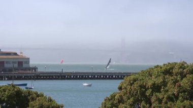 San Francisco 'nun güzel şehrinde parklar ve etrafta dolaşan insanlar var. San Francisco doğası.
