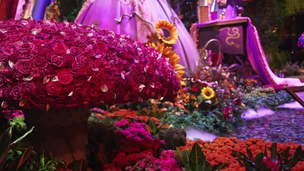 Piękny Ogród Kwiatowy Bellagio Conservator Ogrody Botaniczne Kolorowymi Kwiatami Bujną — Wideo stockowe