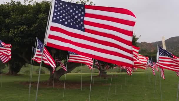 Pole Setek Amerykańskich Flag Pamiątkowy Dzień Weteranów Dzień Pamięci Lub — Wideo stockowe