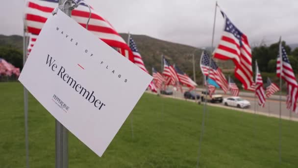 Campo Cientos Banderas Americanas Día Conmemoración Veteranos Día Conmemorativo — Vídeos de Stock