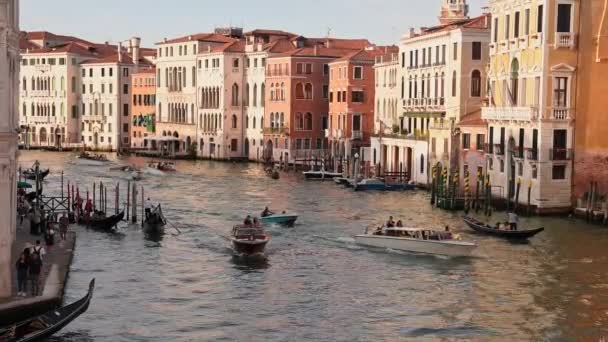 Βενετσιάνικος Γονδολιέρης Που Ρίχνει Γόνδολα Στα Πράσινα Νερά Της Βενετίας — Αρχείο Βίντεο