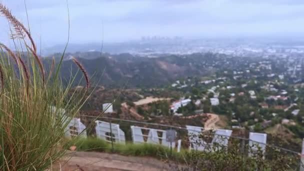 Una Vista Cerca Única Señal Hollywood Tomada Desde Sitio Ladera — Vídeo de stock