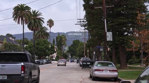Krásná Hollywoodská Silnice Auty Palmami Cedulí Kopcích Jasné Modré Nebe — Stock video
