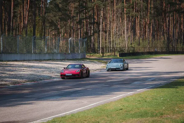Red Porsche Leading Silver Sports Car Racetrack Lined Tall Pine Stockfoto