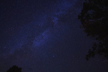 Gece gökyüzü yıldızlarla dolu, Samanyolu Galaksisi 'nin bir bölümü. Koyu mavi gökyüzü, beyaz yıldız lekeleri, sütlü şerit. Siluetli ağaçlar göksel görünüm çerçevesi. Huşu uyandıran sükunet.