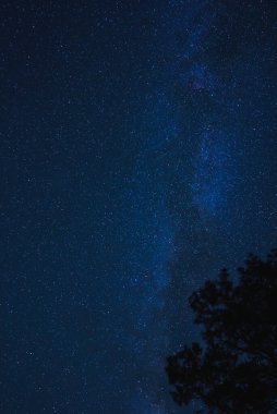 Gece gökyüzü yıldızlarla ve Samanyolu galaksisiyle dolu. Koyu mavi üst geçişler aşağıda daha açık. Ağaç silueti görünüyor. Huzurlu ve düşünceli bir ruh hali. Yapay ışık yok. Yıldızlara bakmak için ideal..