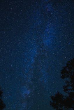 Samanyolu 'nun yıldızlı gece gökyüzü manzarası Büyük Kanyon' da koyu maviden siyaha. Ağaç siluetleri, uzak, ışık kirliliğinden arınmış bölgede açık bir gece olduğunu gösteriyor..