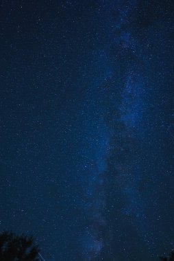 Samanyolu galaksisini oluşturan yıldızlarla dolu bir gece. Koyu mavi gökyüzü açık geceyi gösteriyor. Ağaç siluetleri kırsal kesim olduğunu gösteriyor. Belirli bir konum belirtilmedi.