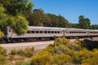 Grand Canyon Demiryolu ile ilişkili olduğu düşünülen, GRAND CANYON ile tren. Yemyeşil arazide gümüş renkli arabalar, muhtemelen Arizona, ABD..