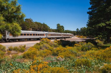 Yolcu treni, açık mavi gökyüzü altında yeşil, kır çiçekleri ve çam ağaçları olan manzaralı arazide yol alır. Sakin, ücra bir yer kırsal ya da ıssız bir yere işaret ediyor..