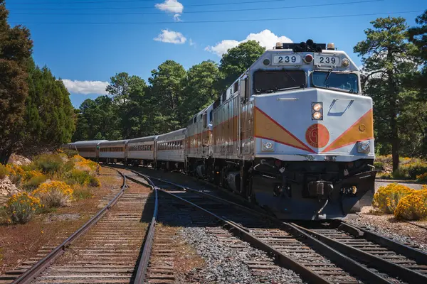 Locomotiva Diesel Puxando Trem Passageiros Trilhas Número 239 Branco Laranja — Fotografia de Stock