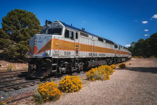 Locomotiva Elegante Prateada Laranja Com Número 239 Grand Canyon Visível — Fotografia de Stock