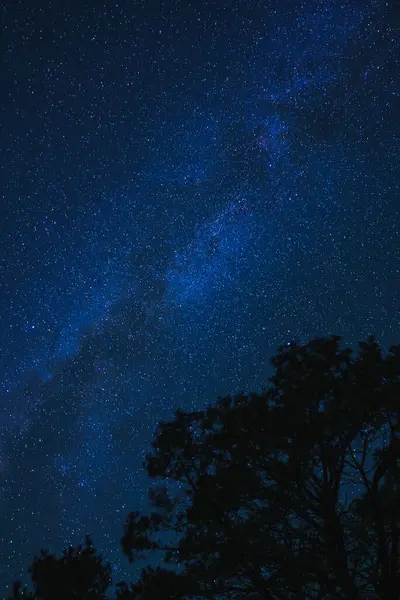 Stjerne Nattehimmelen Med Melkeveigalakse Lyse Stjerner Mot Mørkt Bakteppe Silhuetterte stockbilde