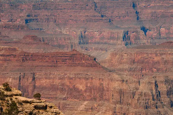 Jelajahi Pemandangan Grand Canyon Dengan Geologi Yang Menakjubkan Dari Merah Stok Foto