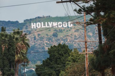 Los Angeles tepelerine karşı ikonik Hollywood tabelası, yerleşim bölgesinin alt noktasından görülebiliyor. Palmiye ağaçları, kuru tepeler, güneşli gökyüzü, şehir perspektifi.