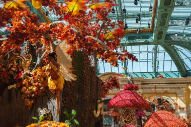 Cam tavanlı kapalı sera, sonbahar süslemeleri, mantar yapıları, ağaçtan sarkan peri figürü. Vegas Strip büyüleyici bir dekor.