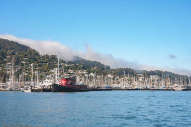 Açık mavi gökyüzünün altında manzaralı marina manzarası. Yelkenliler yanaştı, kırmızı gemi göze çarpıyor. Yeşil tepe, arka planda sisli bulutlar. Sakin sular huzurlu bir tekne gezisi olduğunu gösteriyor. Kıyı Monterey.