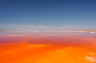 Vibrant pink lake with gradient colors transitioning from orange to pink under a clear blue sky at Alviso Pink Lake Park, California. Serene and surreal landscape. clipart