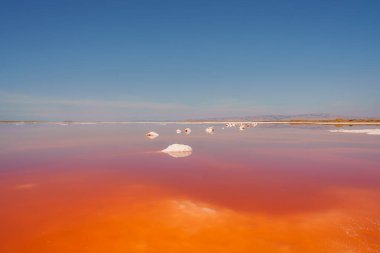 Vibrant pink lake under blue sky, reflecting gradient hues with white salt edges. Mountain backdrop. Alviso Pink Lake Park, California, surreal beauty. clipart
