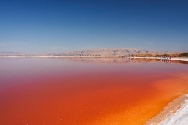 Vibrant pink lake under blue sky, reflecting gradient hues with white salt edges. Mountain backdrop. Alviso Pink Lake Park, California, surreal beauty. clipart