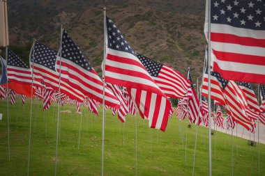 American flags fluttering in a grid pattern, set in a scenic field with rolling hills in California. Overcast sky adds a soft, diffused light to the patriotic display. clipart