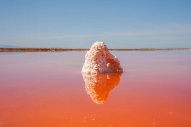 Kaliforniya 'daki Alviso Pembe Göl Parkı' nın çarpıcı güzelliğini keşfedin. Pembe bir gölün simetrik bileşimi açık mavi gökyüzünün altında tuz oluşumlarını yansıtıyor..