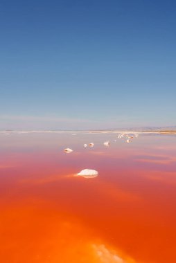 California, Alviso Pembe Gölü 'nde canlı pembe bir göl. Beyaz tuz oluşumları açık mavi bir gökyüzünün altında, kırmızı suyun içinde yüzer. Huzurlu ve öteki dünya manzarası.