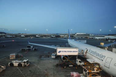 Alacakaranlık 'ta ya da akşamın erken saatlerinde havalimanı sahnesi. Uçan FOOD GROUP yemek kamyonu tarafından servis edilen İskandinav Havayolları uçağıyla. Kaos olmadan sakin bir atmosfer. Konum muhtemelen Kaliforniya 'da.