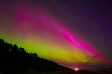 Aurora borealis 'in çarpıcı görüntüsü Letonya' nın Riga ve Jurmala yakınlarındaki bir kıyı bölgesinin üzerindeki yeşil ve pembe renklerle gökyüzünü aydınlatır. Bir orman silueti canlı renklerle çelişiyor..