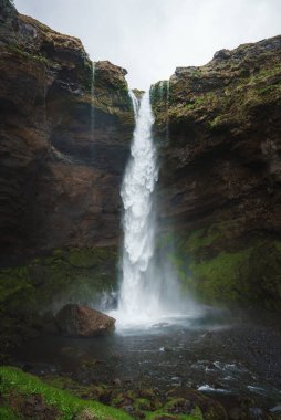 İzlanda 'da çarpıcı bir şelale kayalık bir uçurumdan yuvarlanarak yemyeşil yosunlar ve bulutlu bir gökyüzü altında engebeli kaya oluşumlarıyla çevrili küçük bir havuza düşer..