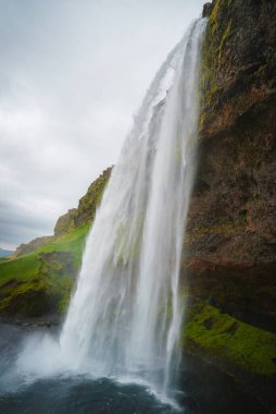 İzlanda 'da yemyeşil yosun ve çimenleriyle Seljalandsfoss şelalesi sersemletiyor. Ziyaretçiler şelalenin arkasından yürüyerek benzersiz bir perspektif sunabilirler. Bulutlu gökyüzü drama ekler.